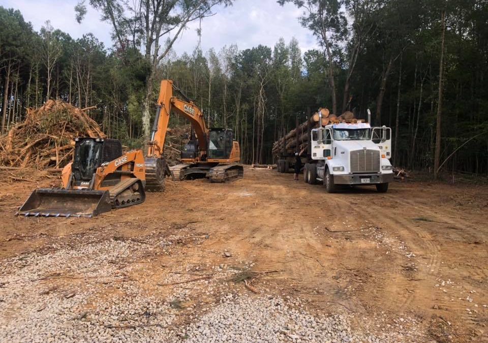 Site Clearing Projects